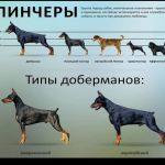 Яков, 38 лет